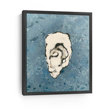 Denim Oyster 8