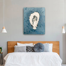 Denim Oyster 9