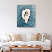 Denim Oyster 9