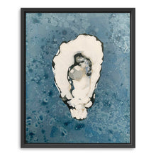 Denim Oyster 9