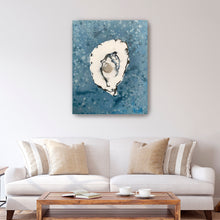 Denim Oyster 10