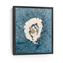 Denim Oyster 10