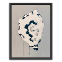 Gray Oyster