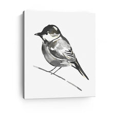 Little Bird III