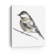 Little Bird II