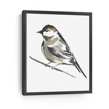 Little Bird II