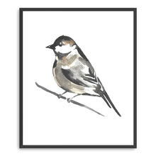 Little Bird II