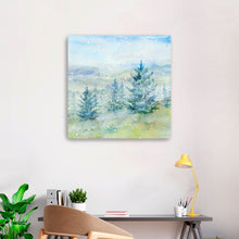 Snowy Mountains