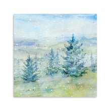 Snowy Mountains