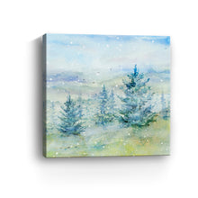 Snowy Mountains