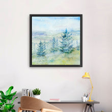 Snowy Mountains