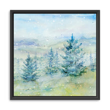 Snowy Mountains