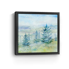Snowy Mountains