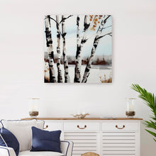 Birch Tree in Snowy Field
