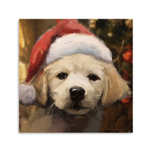 Santa's Little Helper