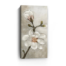 Magnolia in Bloom