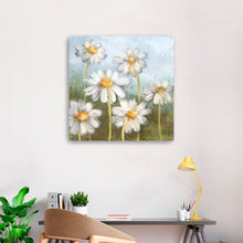 Daisy Delight