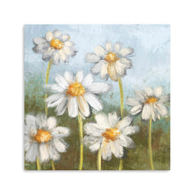 Daisy Delight