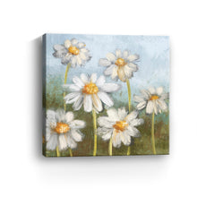 Daisy Delight
