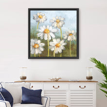 Daisy Delight