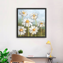 Daisy Delight
