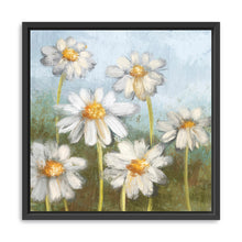 Daisy Delight