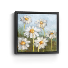 Daisy Delight