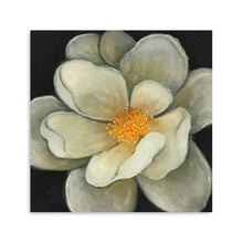 Nature's Masterpiece II