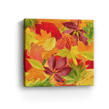 Rustling Leaves