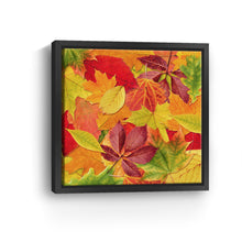 Rustling Leaves