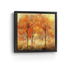 Autumn in the Air