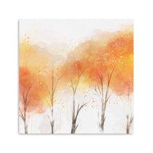 Fall Colors