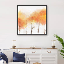 Fall Colors