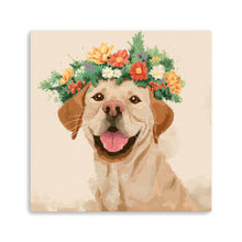 Playful Dog