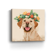 Playful Dog