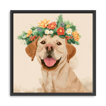 Playful Dog