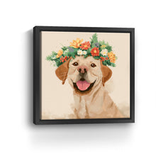 Playful Dog