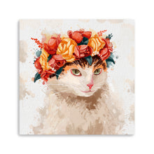Playful Feline