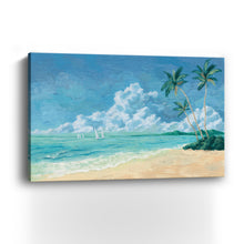 Coastal III