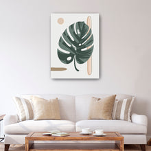 White Montsera Leaf