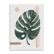 White Montsera Leaf
