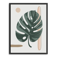 White Montsera Leaf