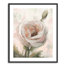 Soft Floral