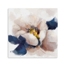 Gentle White
