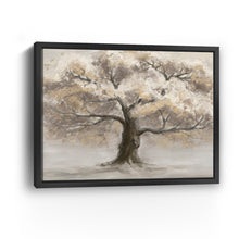 Big Tree Neutral