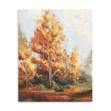 Autumn Forest