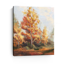 Autumn Forest