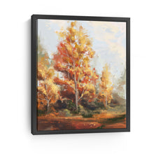 Autumn Forest
