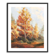 Autumn Forest