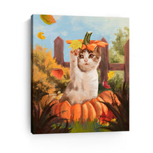 Cat and fall garden